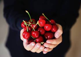 1509968976_292740_1510041973_sumarioapoyo_normal_recorte1